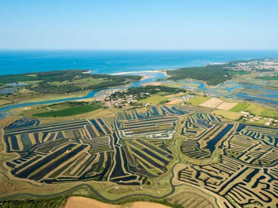 "L'Harmonie" Appartement Cosy 4 Personnes, Vue Golf, Wifi Gratuit Talmont-Saint-Hilaire 외부 사진